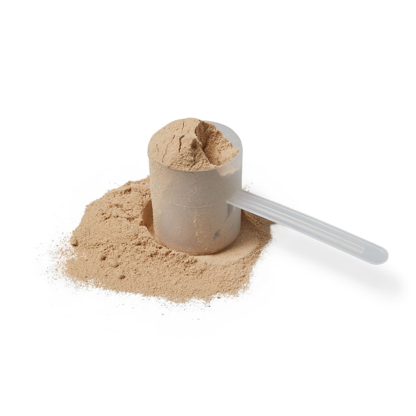 Whey Isolate Protein Digestive Enzyme Blend